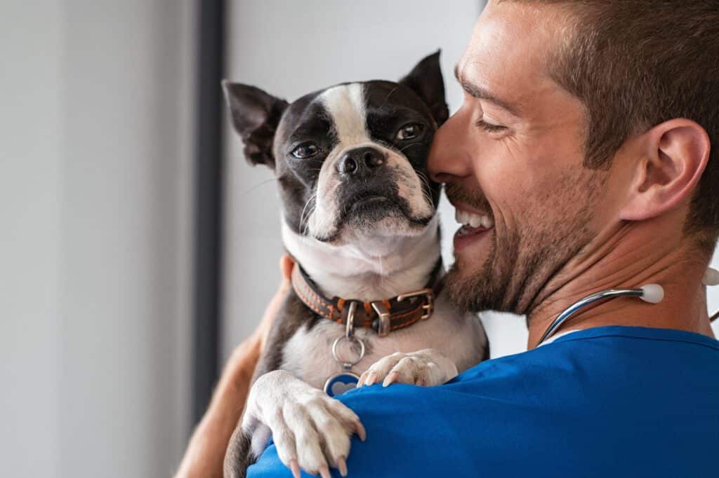 hunde op versicherung tierarztrechnung