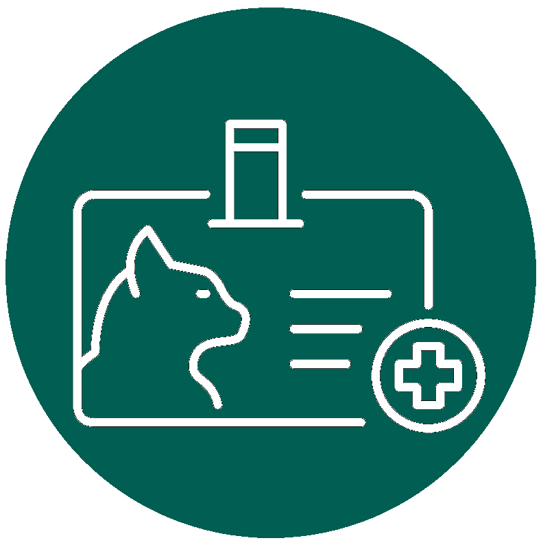 katzenversicherung katzenkrankenversicherung