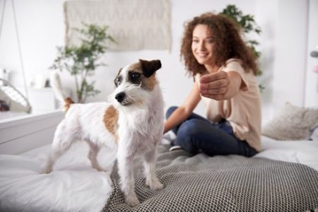 hundeversicherung hundehaftpflicht